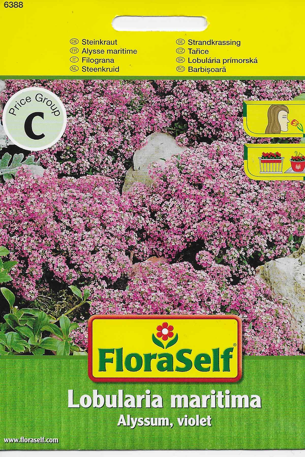 /flora/images/zaadzak/00-105qr.png